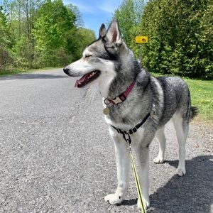 Meet your Posher, Emily